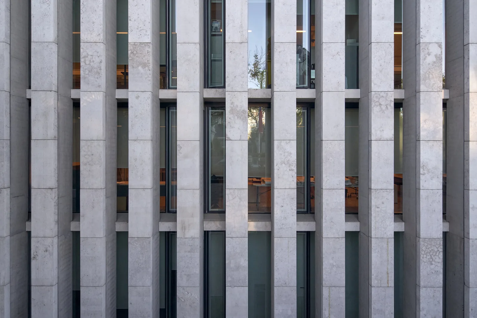 Universidad Autónoma, edificio de 7 pisos, vista 8