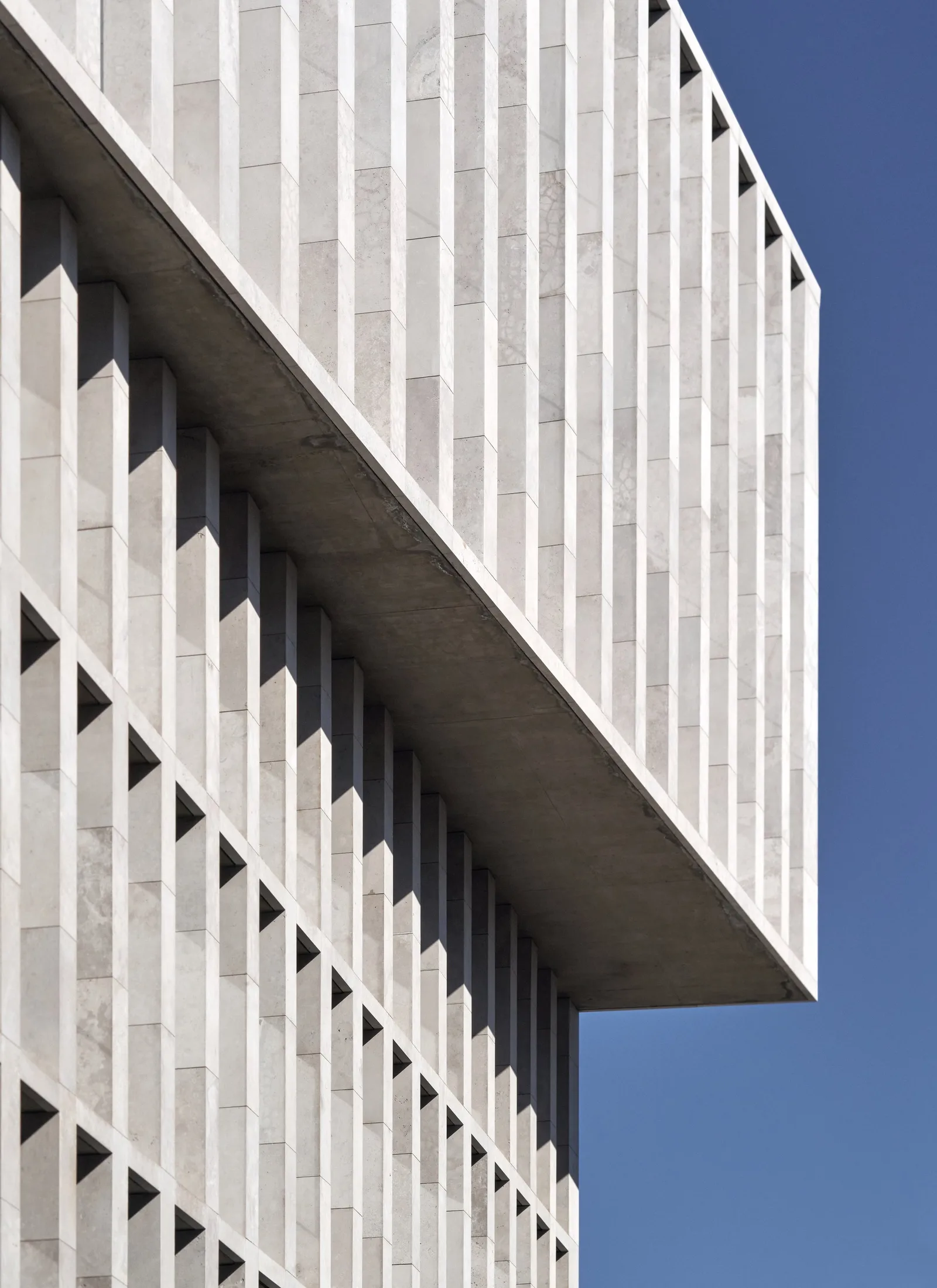 Universidad Autónoma, edificio de 7 pisos, vista 14