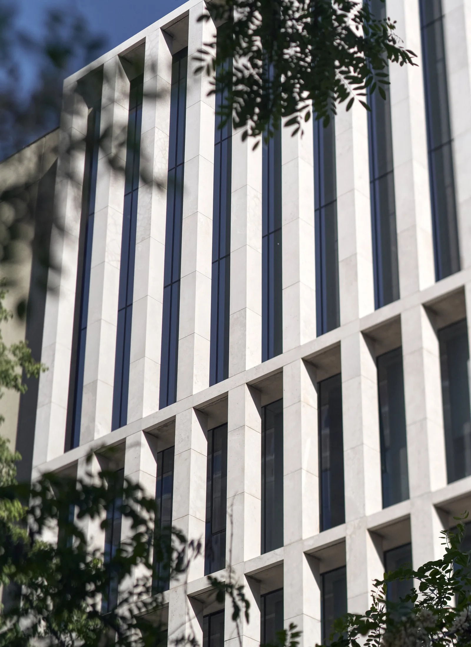 Universidad Autónoma, edificio de 7 pisos, vista 15